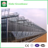 Factory Price Polycarbonateglass Greenhouse Manufacturer for Sale