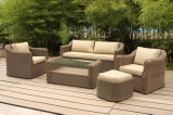 European Rattan Outdoor Furniture for Hotel Lobby and Villa (FS-2981+2982+2983+2984)