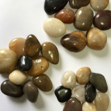Mixed Color High Polished Natural Cobble &Pebble Stone (SMC-PM016)