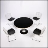 Meeting Room Replica Bertoia Wire Chair Noguchi Table (SP-CT392)