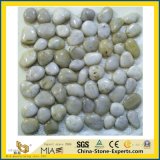 Natural Multicolored Black/Grey/Red/Grey Pebble Stone for Landscaping/Paving/Garden Yard/Indoor/Decoration/Outside Flooring/Paving/Landscape