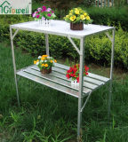 Greenhouse Accessories of Staging/ Shelving (S323B)