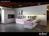 Welbom 2014 New Design Modern Lacquer Kitchen Furniture