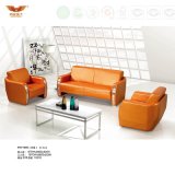 Livingroom High Grade Leather Sofa Covered with Metal Leg (HY-F1005)