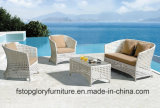 Outdoor Patio Rattan Furniture and Garden Sofa Sets (TG-078)