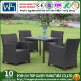 Outdoor Rattan Wicker Garden Patio Furniture Dining Chair Table Set with Glass (TG-1663)