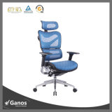 Blue Mesh BIFMA Standard Foshan Factory Good Back Support Chairs