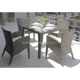 Commercial Rattan Furniture Dining Set (DS-06017)