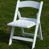 Outdoor Garden Design Dining Plastic Folding Chair Price (SZ-FCT001)