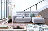 Hot Sell Sectional Sofa Modern Style S6071