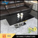 Special Stainless Steel Furniture Coffee Table