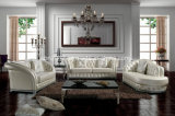 European-Style Full Leather Sofa (SBO-5929)