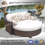 Well Furnir Premium Daybed with Cushions WF-17041