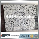 Natural Stone Kitchen Countertop White Granite Floor Tile, Wall, Slab