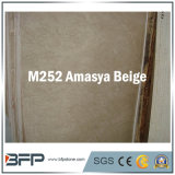 Elegant Natural Marble Stone for Flooring/Wall Tile/Stairs/Step