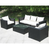 Garden Leisure Rattan Sofa Furniture (WS-06020)