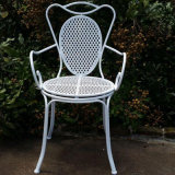 Hot Selling Home and Garden Metal Iron Folding Chairs