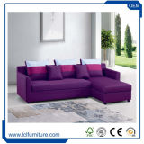 Furniture Sleeper Fabric Sofa Bed, Put out Sofa Cum Bed Folding Best for Sale
