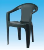 Plastic Chair/Beach Chair (0003)