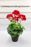 PE Geranium Pot Artificial Flower for Home Decoration (45071)