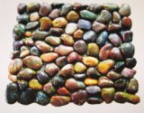 Popular Natural Polished Colorful River Cobble & Pebble Stone