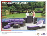 Garden Patio Outdoor PE Rattan Sofa Sets (TG-060)