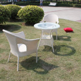 Outdoor Tables and Chairs Rattan Outdoor Furniture (Z305)