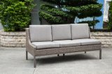 Luxury Modern Wicker/Rattan Sofa for Outdoor Furniture (LN-2004)