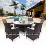 Outdoor Rattan Dining Table Set (GN-8623D)