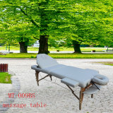 Portalbe Massage Table with Adjustable Backrest and Full Accessories