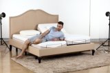 Living Room Elegant Electric Adjustable Bed with Massage Function