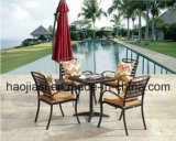 Outdoor /Rattan / Garden / Patio / Hotel Furniture Cast Aluminum Chair & Table Set (HS 3195C&HS 7126DT)