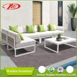 New Design Rattan Outdoor Furniture Sofa Set