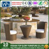 Modern Wicker/Rattan Sofa for Outdoor Furniture (TG-JW53)