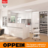 10 Square Meters Japanese-Style Galley Kitchen Design (OP16-HPL06)