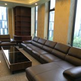 Modern Leather Sofa of Home Furniture (OWSF-001)