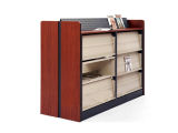 Cheap Magazine Rack, Metal Cabinet, Magazine Cabinet /Shelf