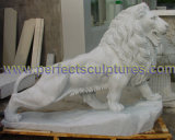 Carving Stone Marble Lion Animal Sculpture for Garden Statue (SY-D137)