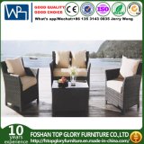 Garden Outdoor Furniture Rattan Chair and Tea Table (TG-1021)