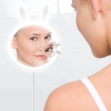 Rabbit Magnifying Mirror with Light Professional Makeup Mirror with Lights