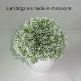 PE Grass Bud Artificial Flower W/White Pot for Home Decoration (50148)