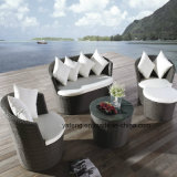 Comfortable Leisure Outdoor Furniture Garden Sofa Set with Single&Double Seat (YT459)
