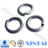 Lock Spring Washer with Zinc Plated (HY-J-C-0590)