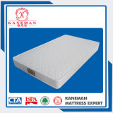 Polyester Fabric Quilted with Foam High Quality Economic Mattress