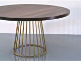Gold Steel Fhase Design (wood top) Wire Dining Table