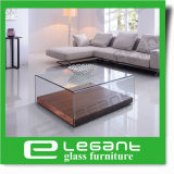 Curved Glass Center Table with Walnut Wood Veneer Base