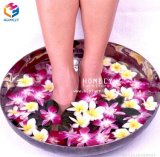 Salon Foot Basin with Massage Surfing Pedicure Chair Bowl