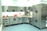 Metal Kitchen Cabinet for Modern (HS-029)