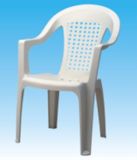 Plastic Chair/Beach Chair (0006)