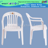 Discount Garden Chair Plastic Chair on Stock (HD-1030)